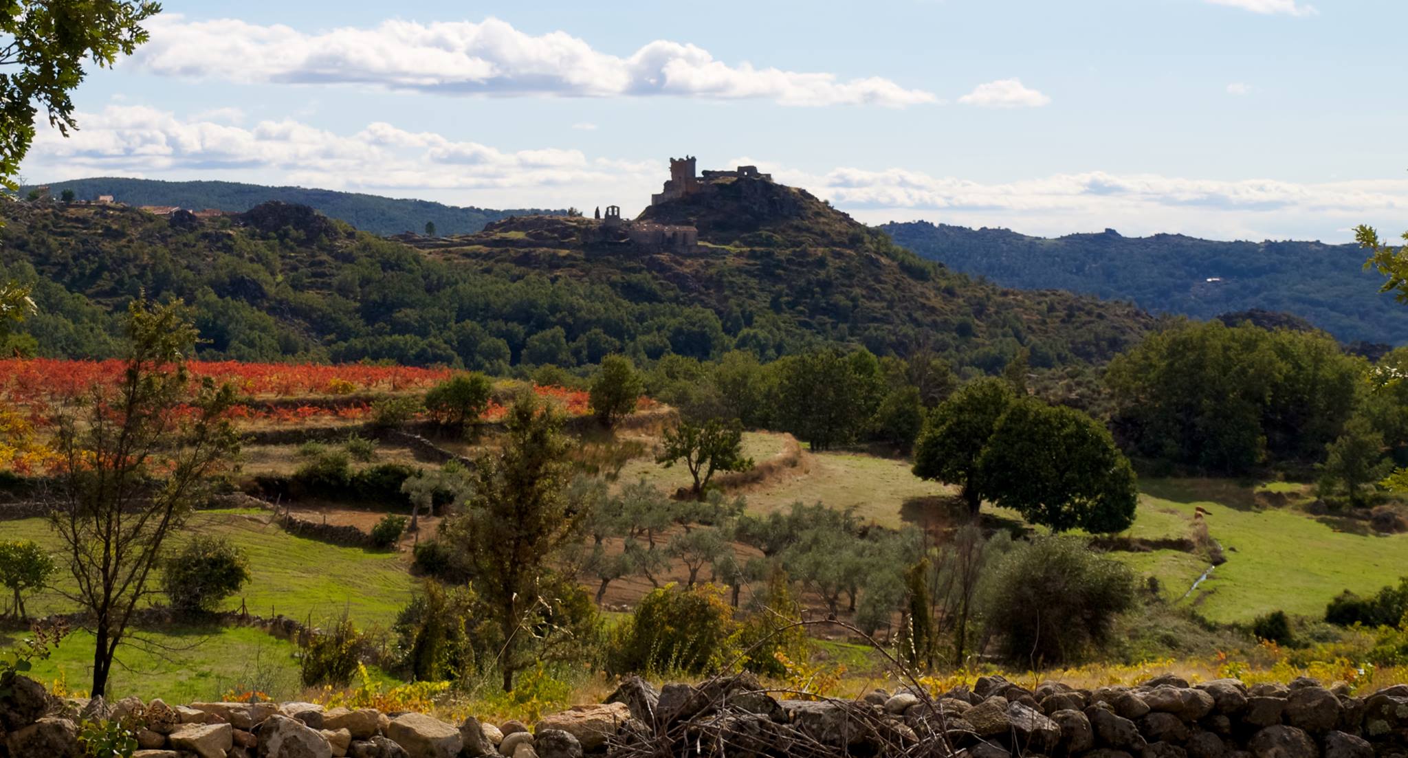 Tío Celipi y El Tesoro Escondido en la Montaña