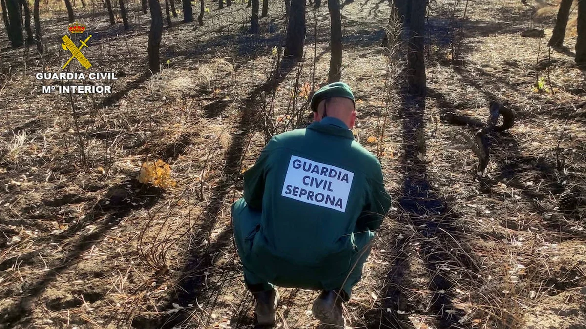 Un pastor investigado por ocho fuegos en Talayuela