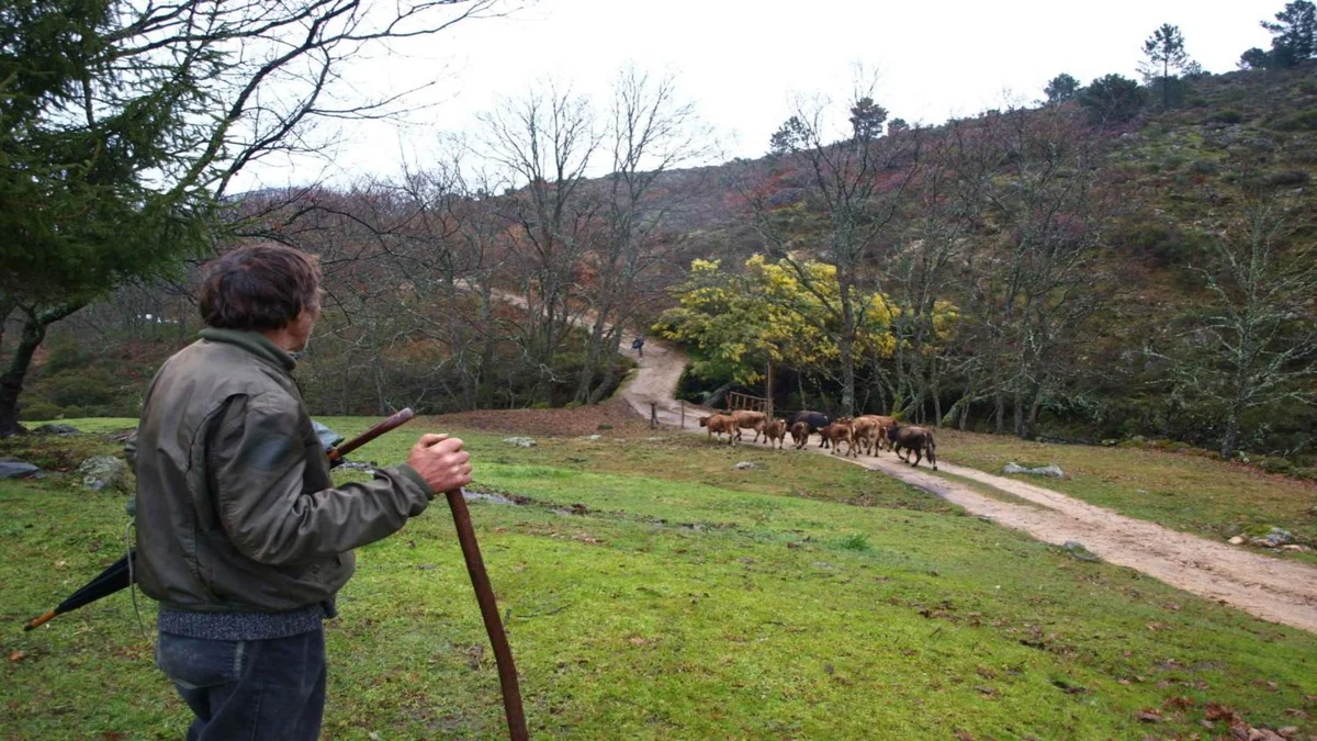 El Encuentro con los Habitantes del Bosque del Tío Celipi