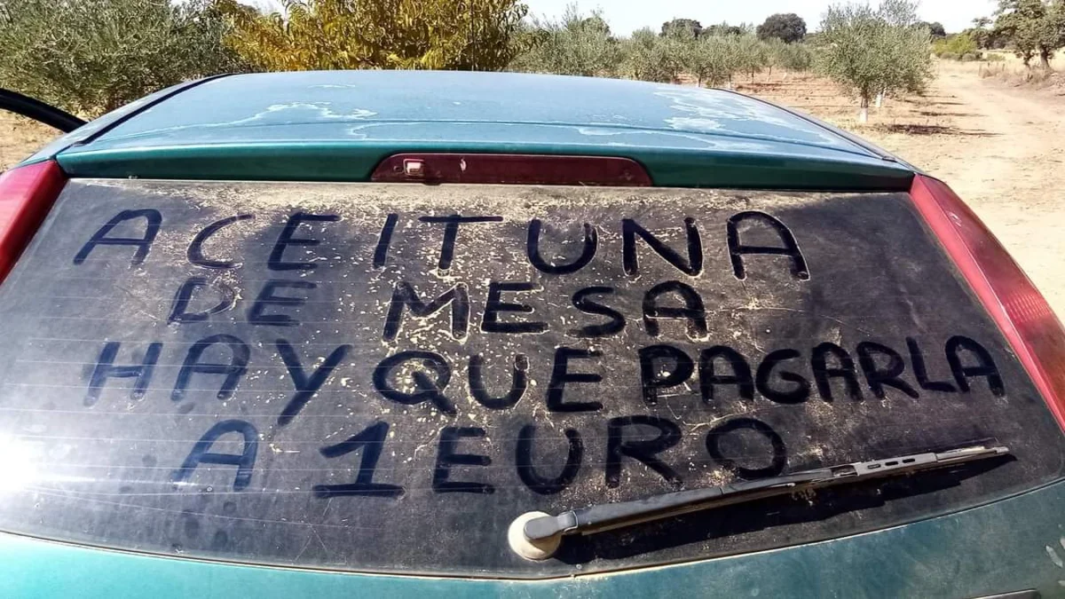 Principio de acuerdo en el precio de la aceituna entre productores e industria olivarera