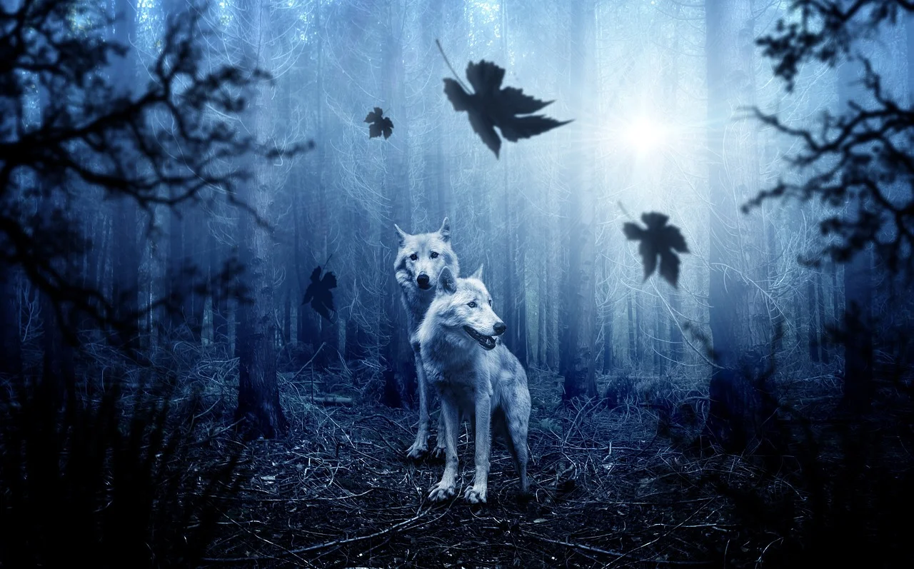 La batalla contra el lobo feroz del Tío Celipi