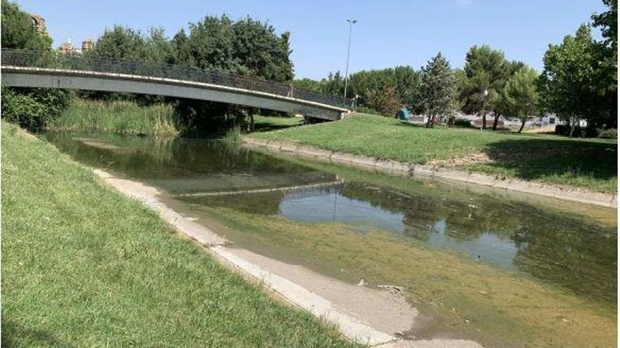 Aparecen unos restos óseos en el entorno del río Albarregas a su paso por Mérida