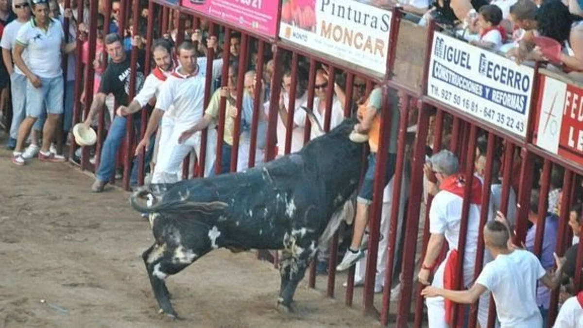 Herido grave en el toro de Coria