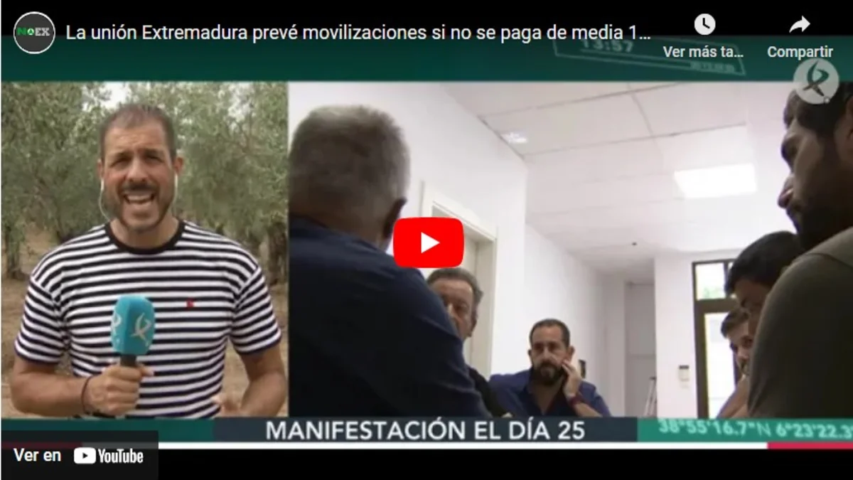 La unión Extremadura insta a movilizarse si no se paga de media 1.18 € kilo aceitunas