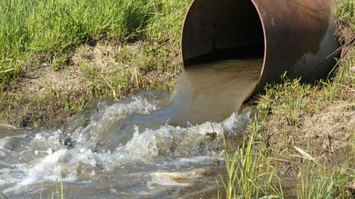 Problema de vertidos de aguas fecales al río Jerte en Plasencia